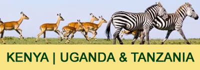 super africa wildlife and adventure safaris in kisii