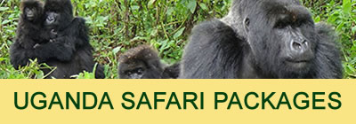 wildlife safari kenya ltd nairobi services